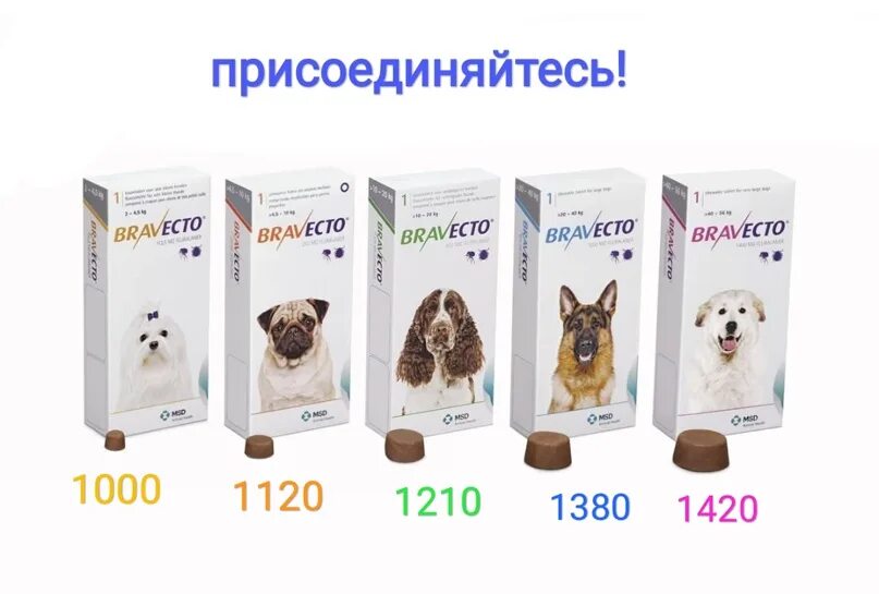 Сколько стоит бравекто в турции. Бравекто 10-20. Бравекто ошейник для собак. Бравекто Турция. Бравекто для шпица.