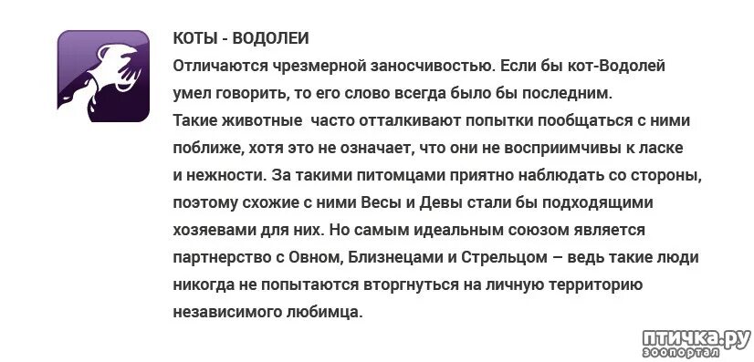 Характеристика мужчина Водолей кот. Водолей характеристика. Водолей мужчина характеристика. Водолей кот мужчина. Гороскоп мужчины кота