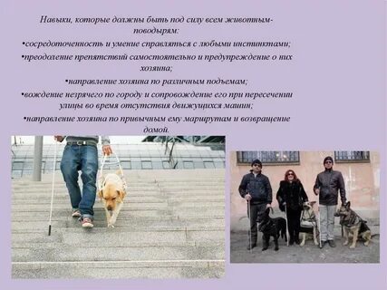 Истина необходима человеку также как слепому поводырь