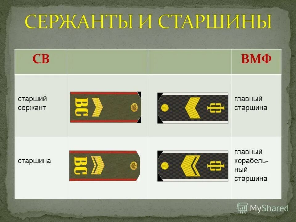 Состав матросов. Главный старшина. Звание главный старшина. Звание главный сержант. Главный старшина погоны.