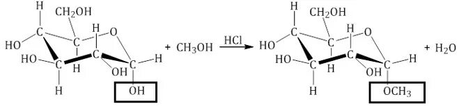 Д Глюкоза и ch3oh. Глюкоза и метанол реакция. Глюкоза ch3oh реакция. Фруктоза ch3oh. Гидроксильные группы фруктозы
