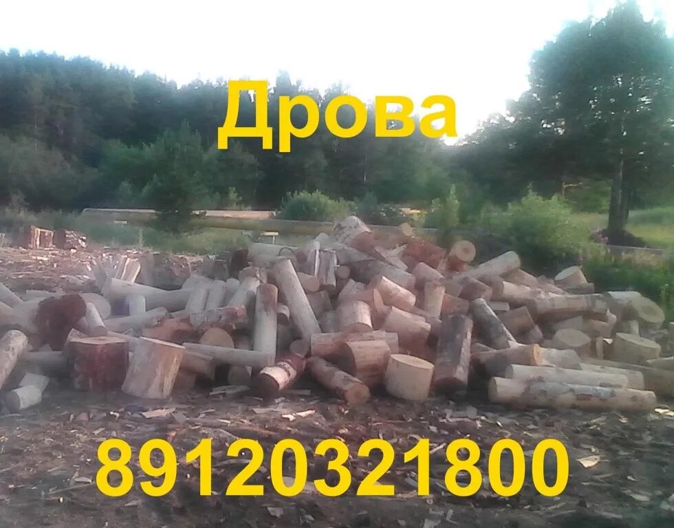 Дрова алапаевск. Береза карандаш дрова. карандашь берёзовый алапаевск. алапаевск дрова фишка. откомлевки.