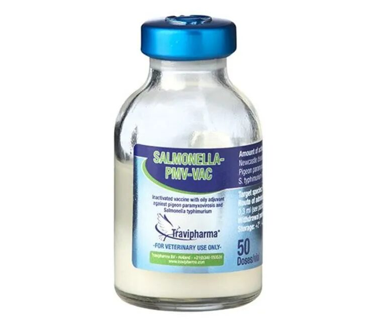 Вакцина 100. АВИВАК сальмонеллез. Препарат Salmonella для голубей производитель. Vaccine for Pigeon. Сальмонелла стоп голубям.