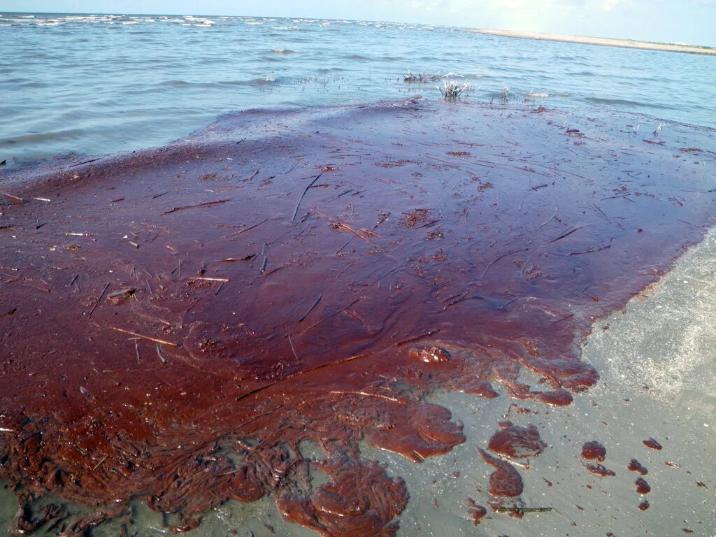 Какие ископаемые в мексиканском заливе. Deepwater Horizon разлив нефти. Разлив нефти в мексиканском заливе 2010. Разлив нефти в мексиканском заливе последствия. Мексиканский залив катастрофа.