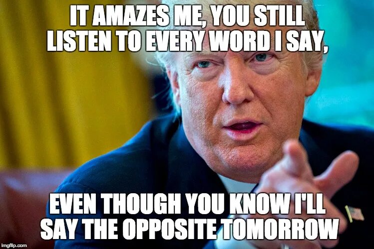 Meme words. Trump Words.