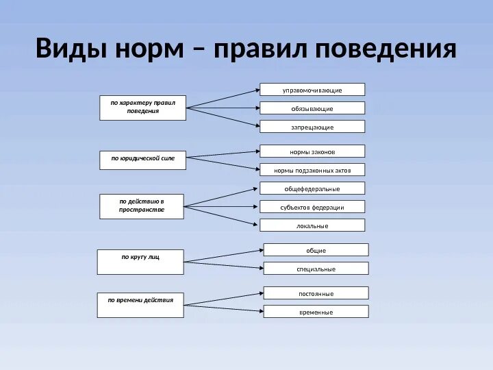 Виды юридических норм правил поведения