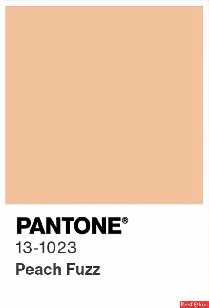 цвета пантон нюд. персиковый фон. цвета фон однотонный. институт цвета pantone 2024 года персиковый. пантон 13-1106.