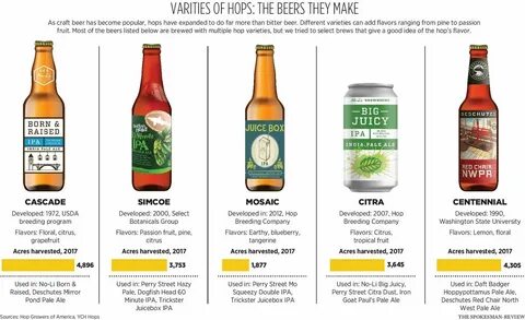 Hops science driven by flavor trends The Spokesman-Review.