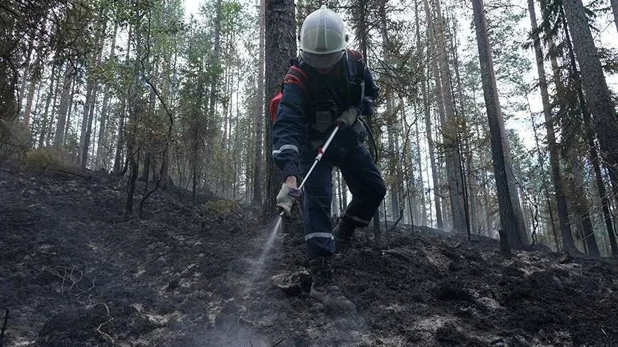 Лесные пожары. Тушение лесных пожаров в Швеции. Лесной. Лесные пожары 2022.