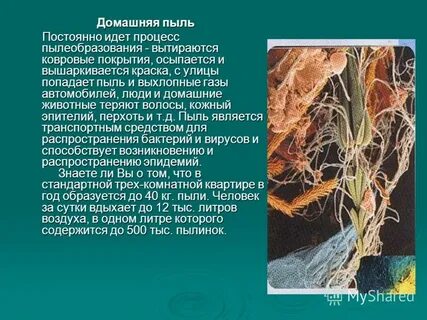 Что будет если пыль попадет