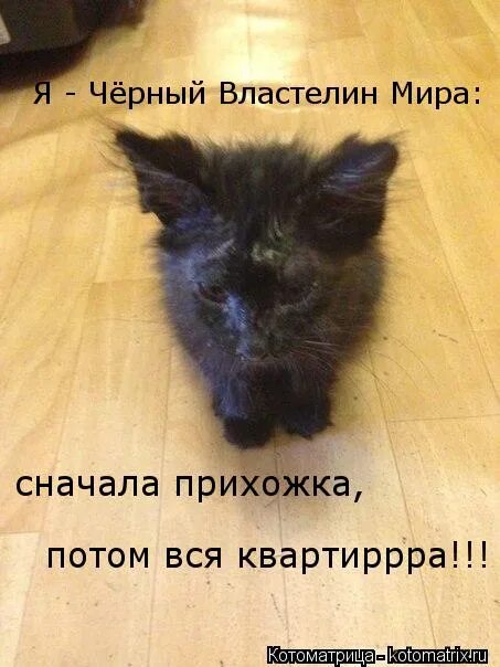 Верить в чудеса цитаты. Я не поверила в примету. Что ты хочешь убить время время очень не любит когда его убивают. Черемуха люди. Не верю в приметы.