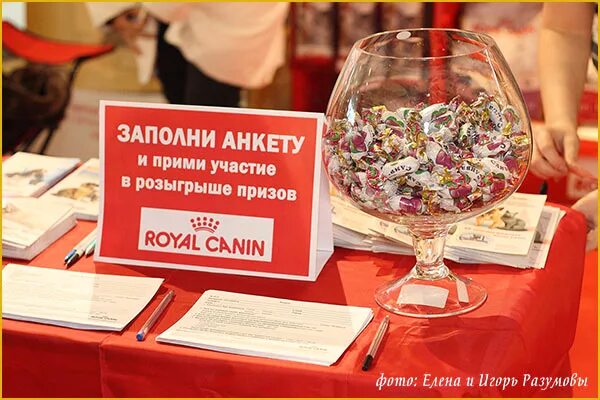 Провести розыгрыш лотереи. Лотерея подарков. Провести розыгрыш лотереи. Беспроигрышная лотерея баннер. Условия проведения розыгрыша.