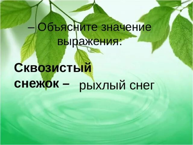 Сквозистый значение слова. Слово сквозистый. Сквозистый снежок значение. Смысл слова сквозистый. Лес сквозистый объяснение.