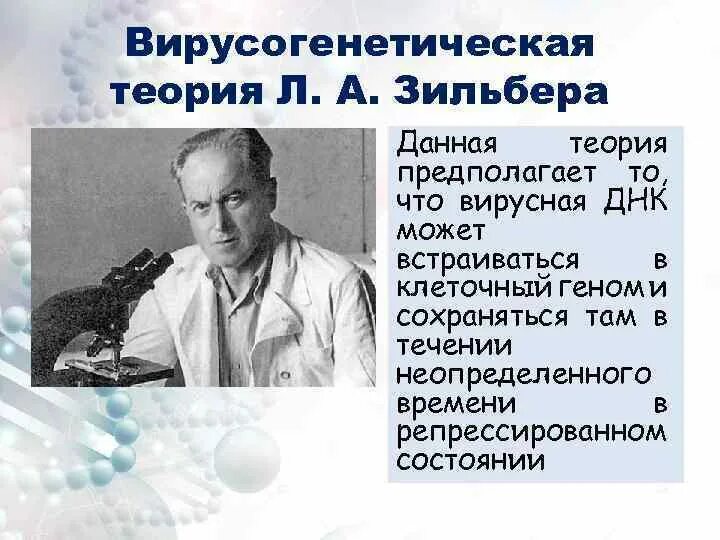 Ученые иммунологи список. Вирусогенетическая теория возникновения опухолей Зильбера. Теория канцерогенеза Зильберта. Вирусогенетическая теория возникновения опухолей Зильбера л.а.. Вирусно-генетической теории (л. а. Зильбер).