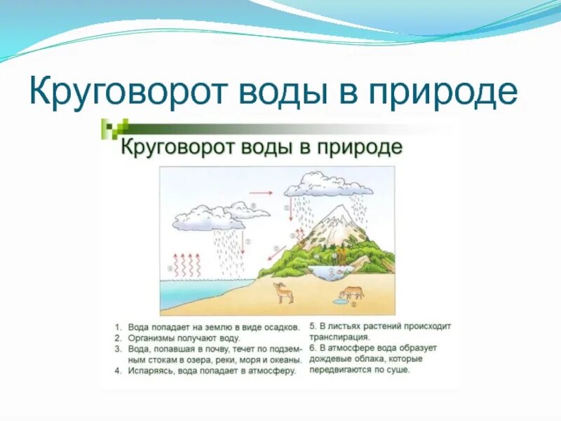 Какое значение круговорота воды. Круговорот воды в природе схема. Круговорот воды в природе 9 класс. Этапы круговорота воды в природе. Круговорот воды в природе презентация.