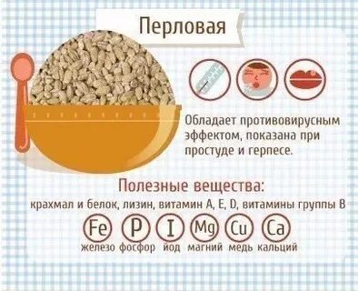 Дневник каши