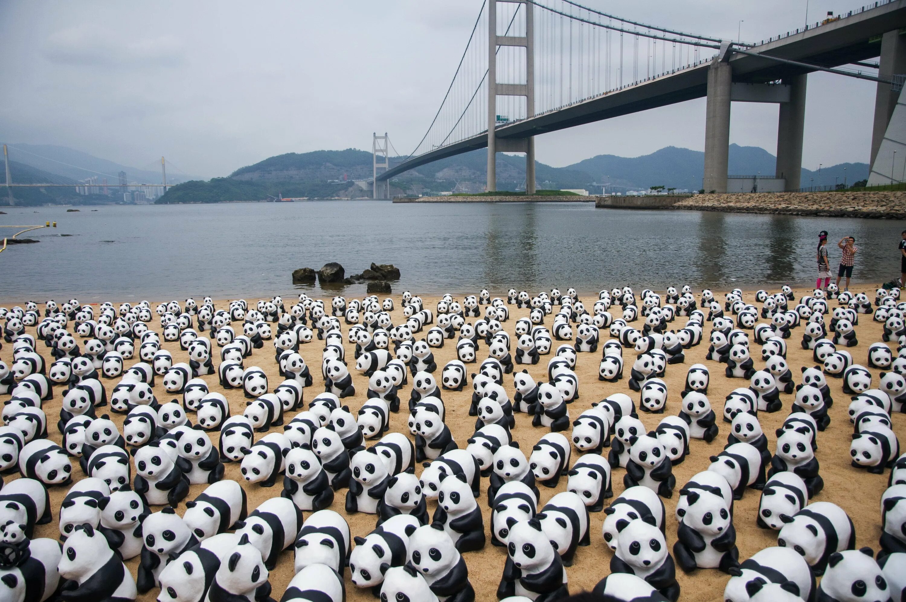 Pass pandas