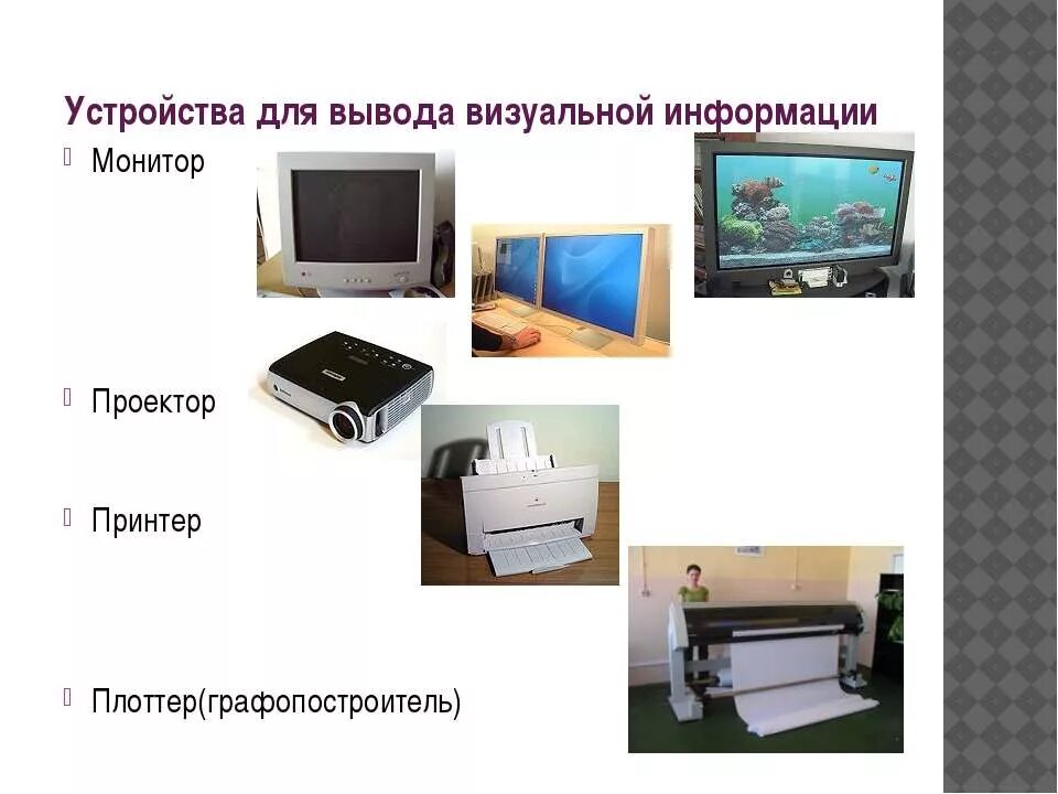 Обрабатывает графическую информацию вводит ее на монитор