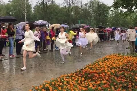Загс березники