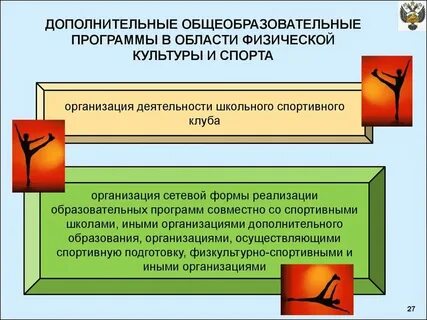 Программа доп образования футбол