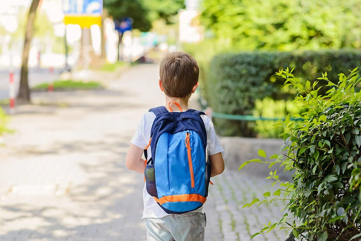 Pick up from school. Рюкзак для мальчика. Мальчик идет в школу. Рюкзак для ребенка на спину. Школьник с рюкзаком.