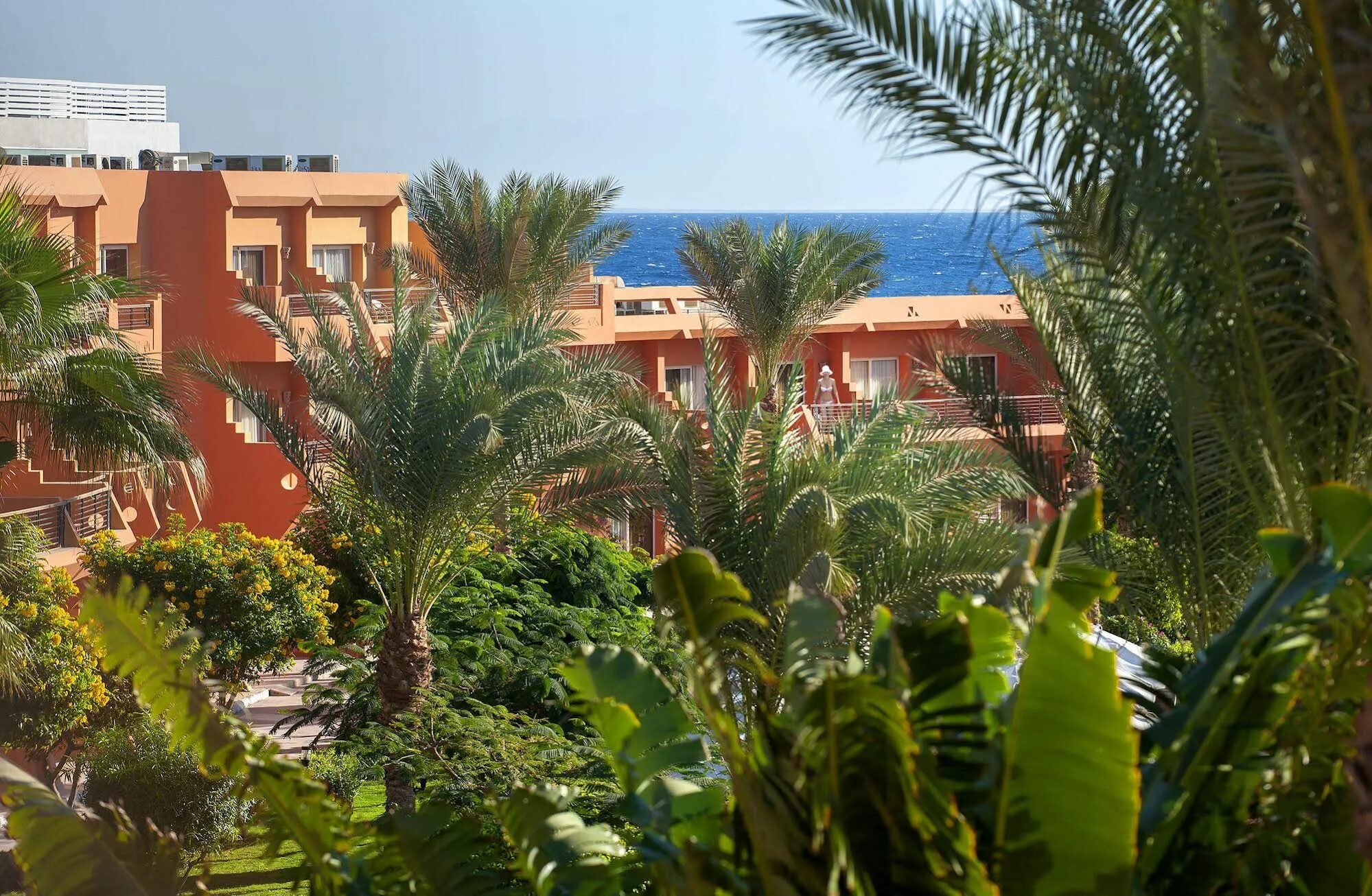 Амваж отель Египет. Amwaj Oyoun Hotel& Resort. Amwaj Oyoun 5 Шарм-Эль-Шейх. Oyoun Resort Spa Sharm el Sheikh. Amwaj oyoun resort casino 4