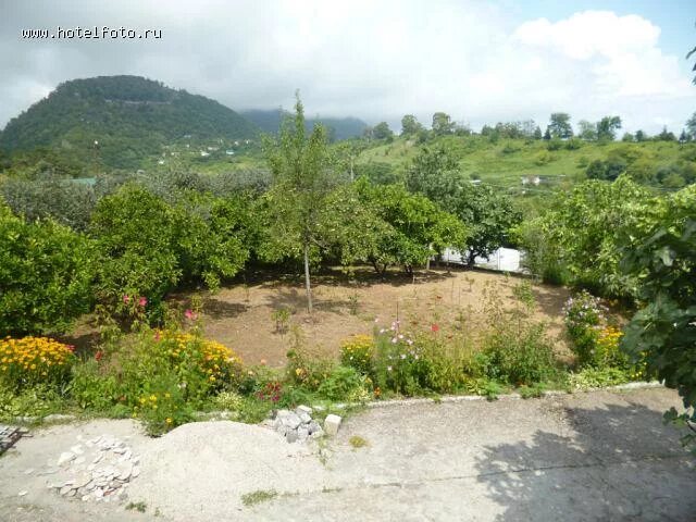 хаджохская теснина. порту фото улиц. жоэкварский водопад абхазия. жоэкварская улица гагра. жоэкварское ущелье в гаграх.