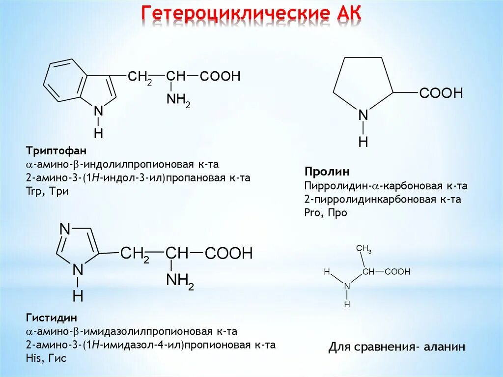Типы солей триптофана. Триптофан 3. Триптофан структурная формула. Декарбоксилирование триптамина. Фенилаланин полимер.