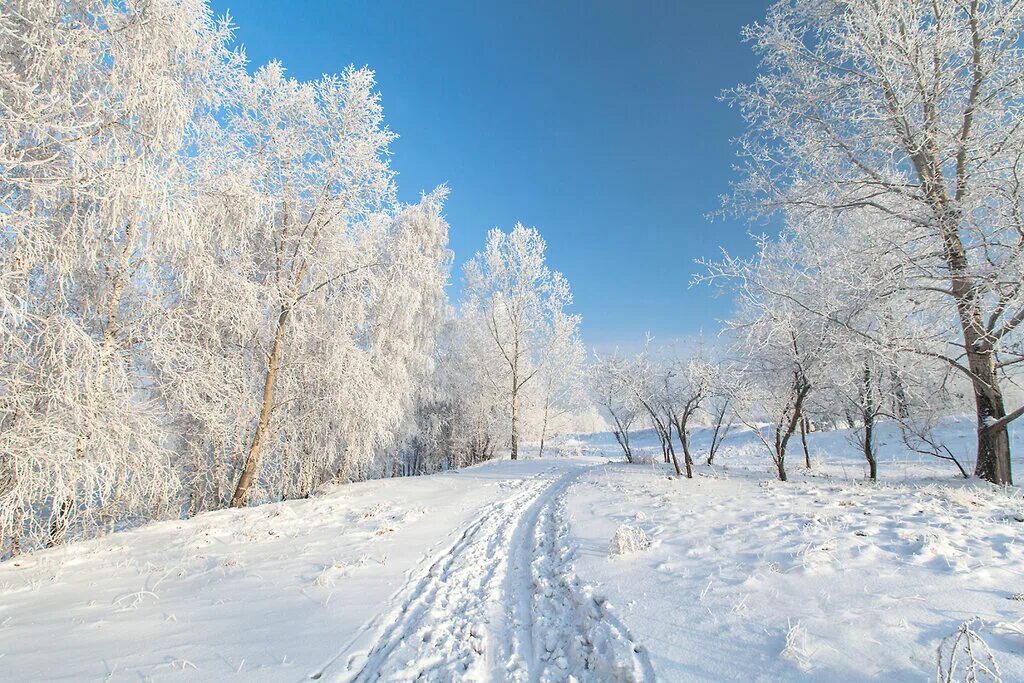 Снежная зима к какому лету. Зимний пейзаж. Зимняя природа. Пейзаж зимой и летом. Природа зима лето.