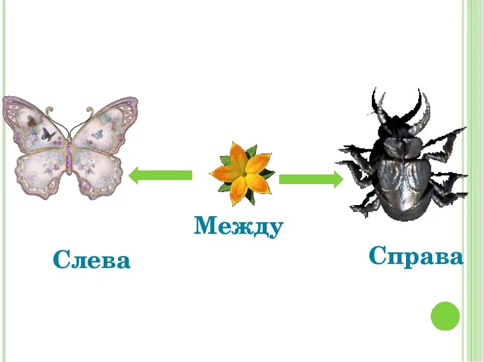 Нужный справа. Справа слева посередине для дошкольников. Понятие слева справа. Слева справа в середине. Слева справа картинки для детей.