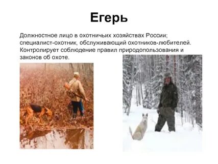 Лесник описание