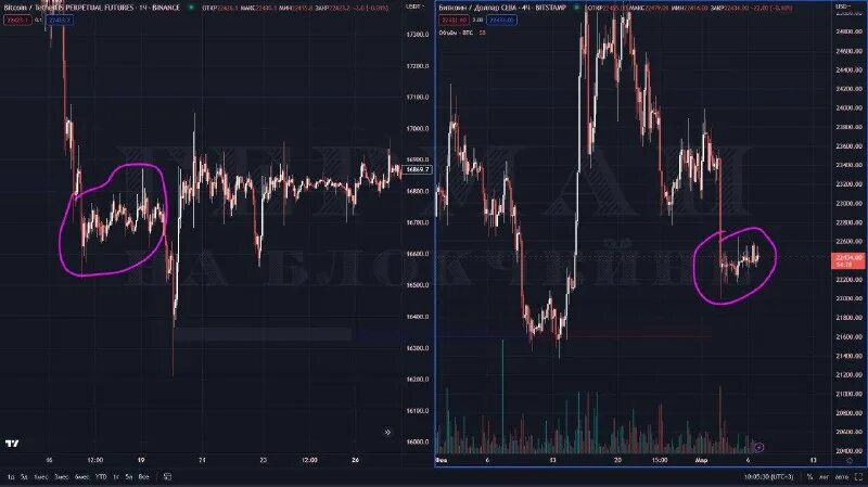 арбитраж тг каналы