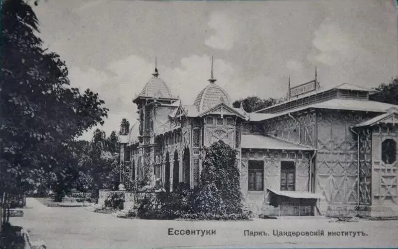 Пединститут ессентуки. Ставропольский государственный педагогический институт. Сгпи ставрополь института. Пединститут ессентуки. Парад победы в ессентуках.