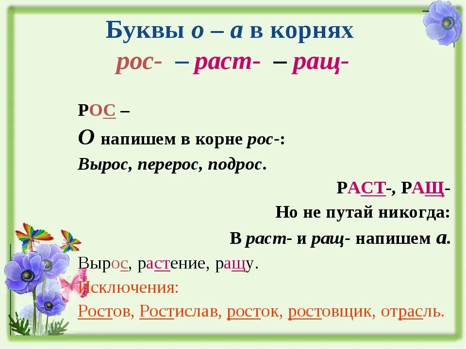 Корни раст рос ращ. Слова с корнем рос раст ращ 5 класс. Корни раст ращ рос правило. Исключения в корнях раст ращ рос. Почему в слове растут