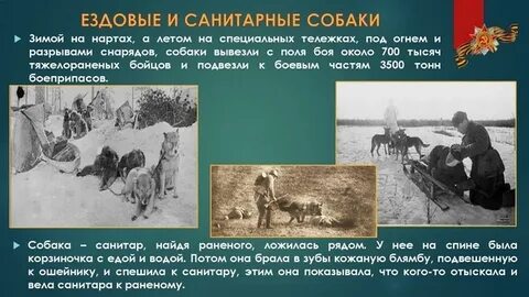 Понеслись пастухи на нартах как понять