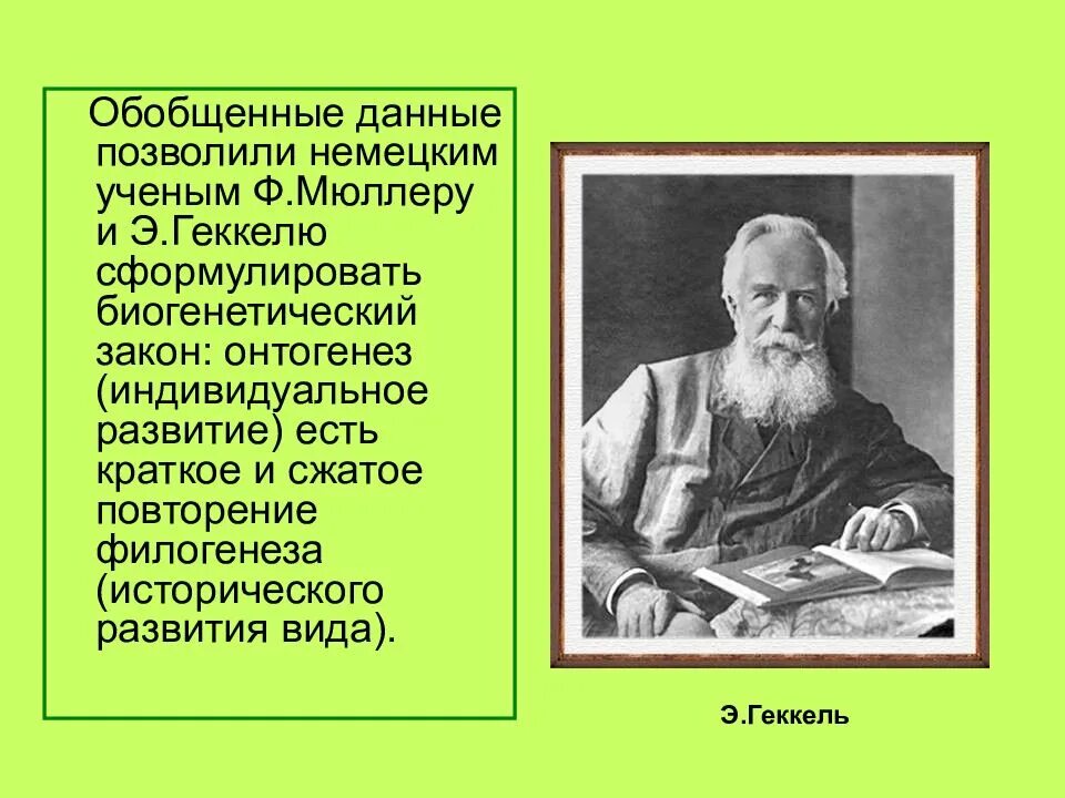 Приведите формулировку биогенетического закона кто является автором