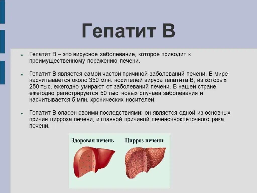 Гепатит б по медицински