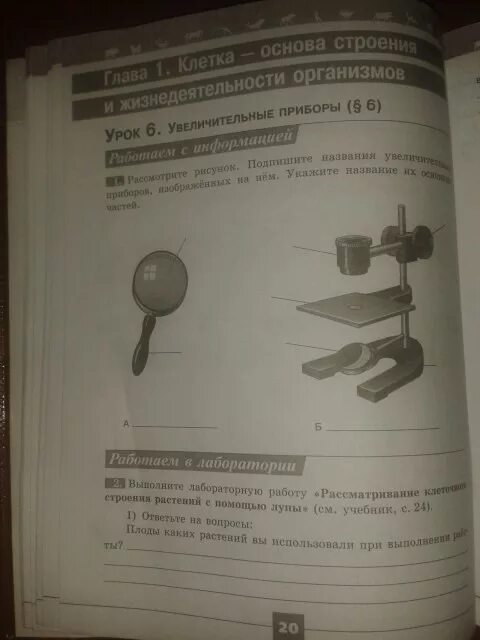 Пасечник тетрадь 5 класс ответы