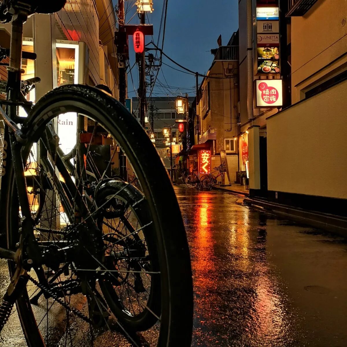 Фото сделанные хонором 10. Honor 9x camera. хонор 9x камера. ночная съемка на фотоаппарат. снимки на хонор.