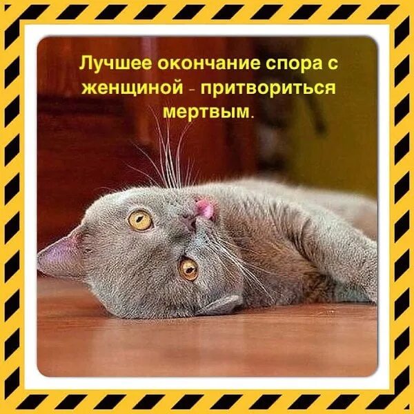 Доброго завершения дня. Лучшее окончание спора с женщиной притвориться мертвым. хорошего завершения дня. лучше притвориться мертвым. в споре с женщиной притвориться мертвым.