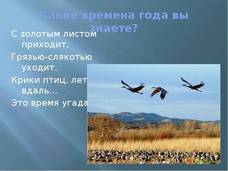 Угадай какое время