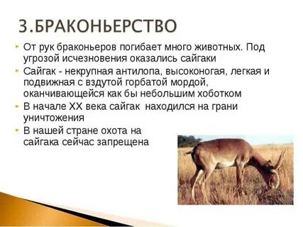 Под угрозой исчезновения