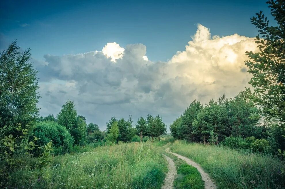 Далекий рано