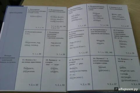 Орфограммы 5 8 класса