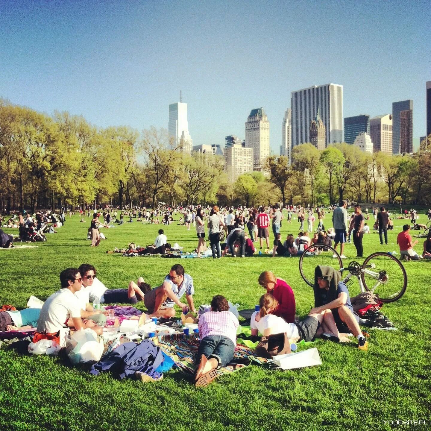 Lot of people in the park. Пикник в Центральном парке Нью-Йорка. Центральный парк Нью-Йорк летом. Централ парк Нью-Йорка газон. Фотосессия в централ парке Нью Йорка.