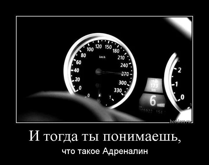 И быстро чем многие другие. Спидометр со смыслом. Цитаты про скорость. Цитаты про скорость на машине. Статусы про скорость.