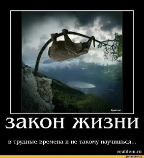 Дзен эх жизнь
