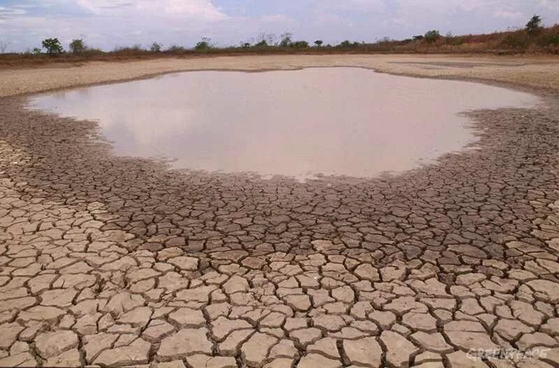 Вследствие засухи озеро обмелело. Осушение дна моря и водоемов. высохшее озеро. пересохший водоем. осушение озер.
