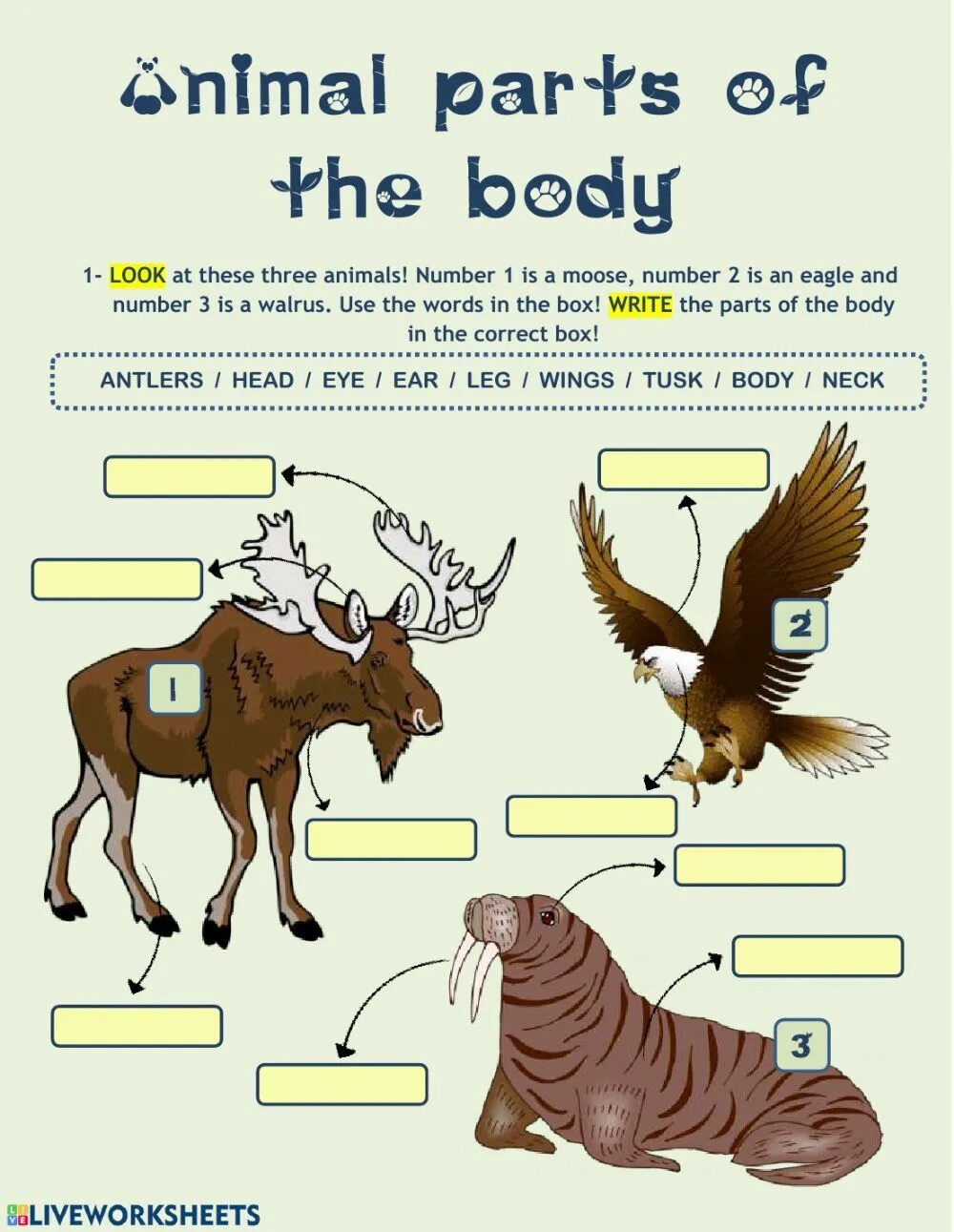 Части тела животные английский. Part animal. Части тела животных worksheets. Parts of animal vocabulary. Animal body parts.