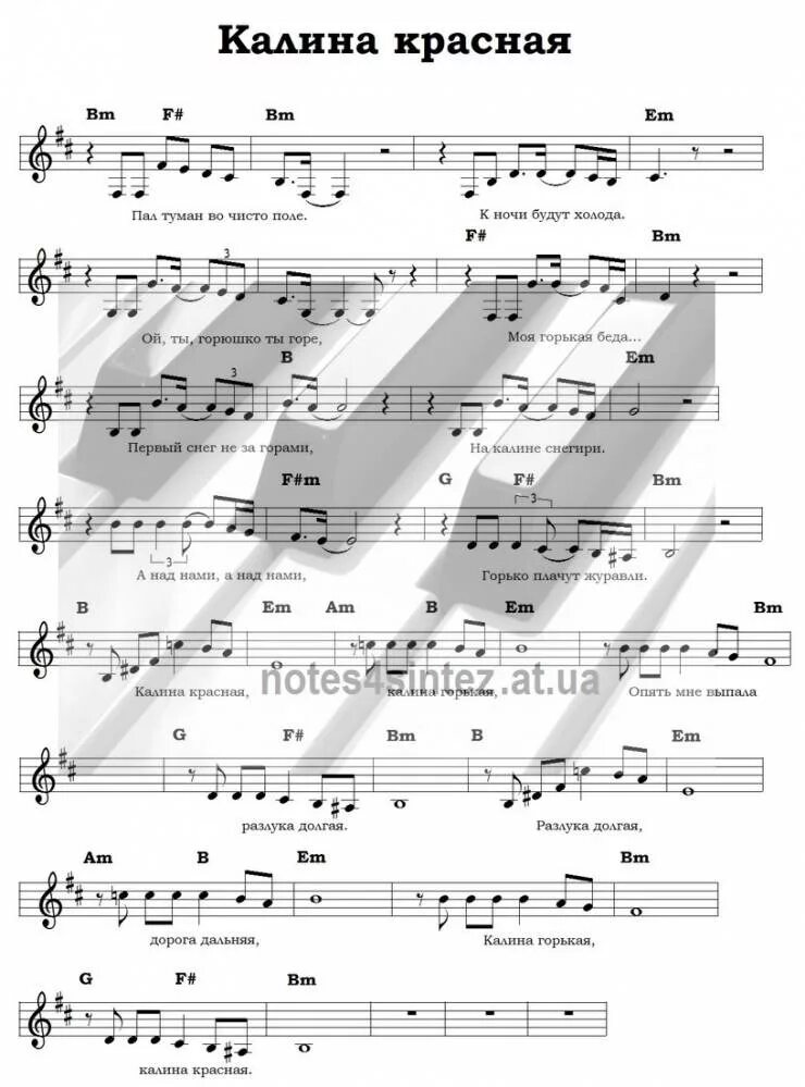 Калина ноты. Калина красная слова. Вика цыганова 2022. Песни калина красная. Калина красная калина горькая ноты для баяна.